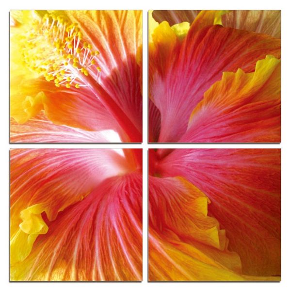 24" Multicolor Canvas 4 Panels Hibiscus Photo - Image 2