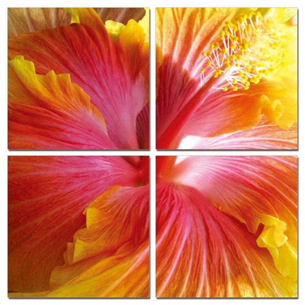 24" Multicolor Canvas 4 Panels Hibiscus Photo - Image 3