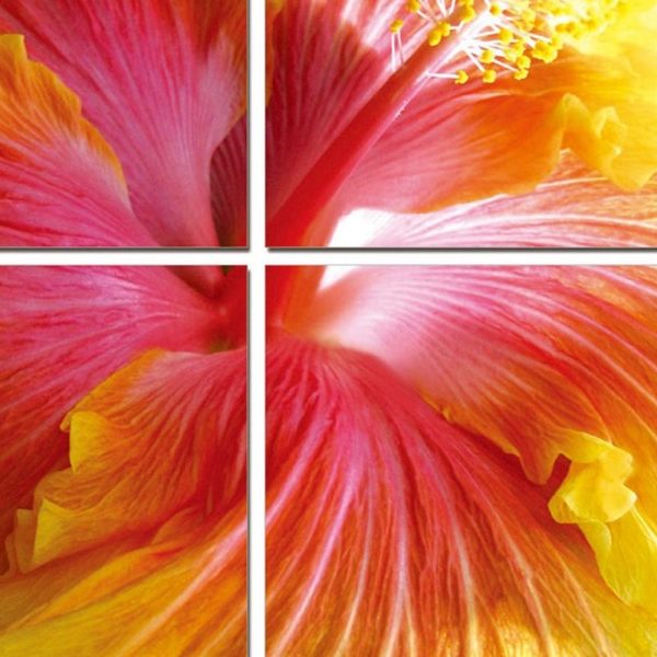24" Multicolor Canvas 4 Panels Hibiscus Photo - Image 4