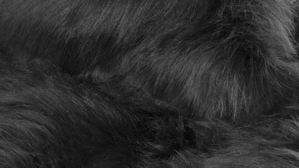 2' X 3' Black Animal Print Area Rug - Image 2