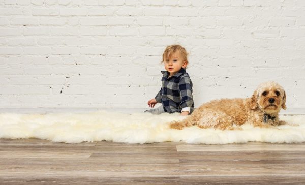 72" x 72" Natural Sheepskin Wool Area Rug - Image 3