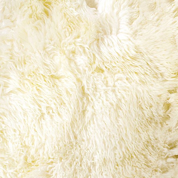 2' x 3'  Natural New Zealand Sheepskin Wool  Area Rug - Image 2