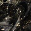 72" x 84" Chocolate and Gold Cowhide - Area Rug - Image 2