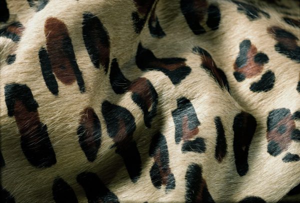 72" x 84" Leopard Cowhide - Rug - Image 2