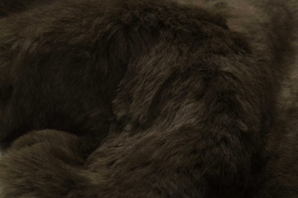 2' x 3' Brown  Natural Sheepskin Single Short Haired Area Rug - Image 2