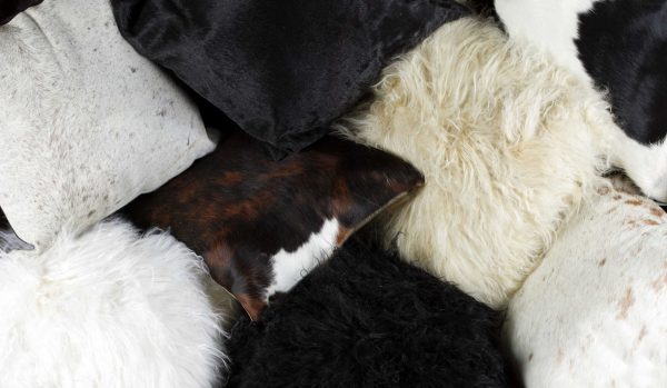 12" x 20" x 5" Gray Sheepskin  Pillow 2 Pack - Image 5