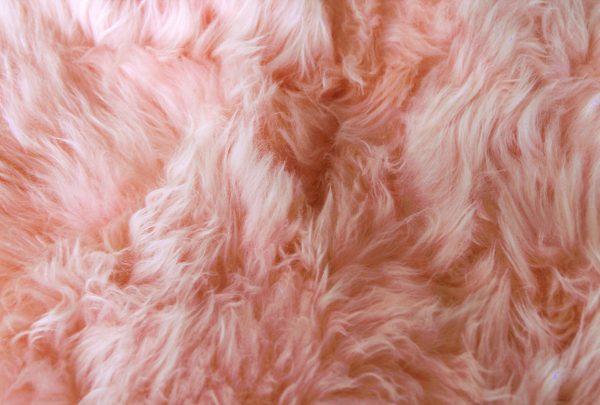 4' x 6'  Rose Pink Natural Sheepskin Area Rug - Image 2