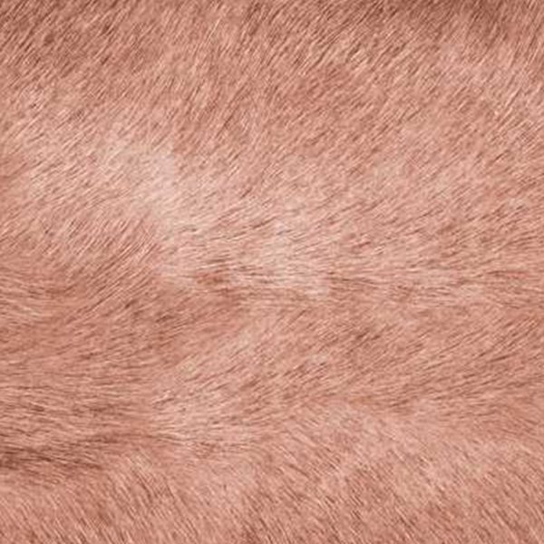 12" x 20" x 5" Brown Cowhide  Pillow 2 Pack - Image 2