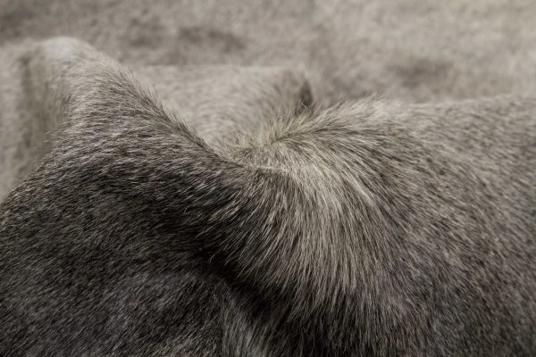 60" x 84" Gray Cowhide - Area Rug - Image 2