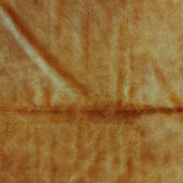 60" x 84" Tan Cowhide - Area Rug - Image 3