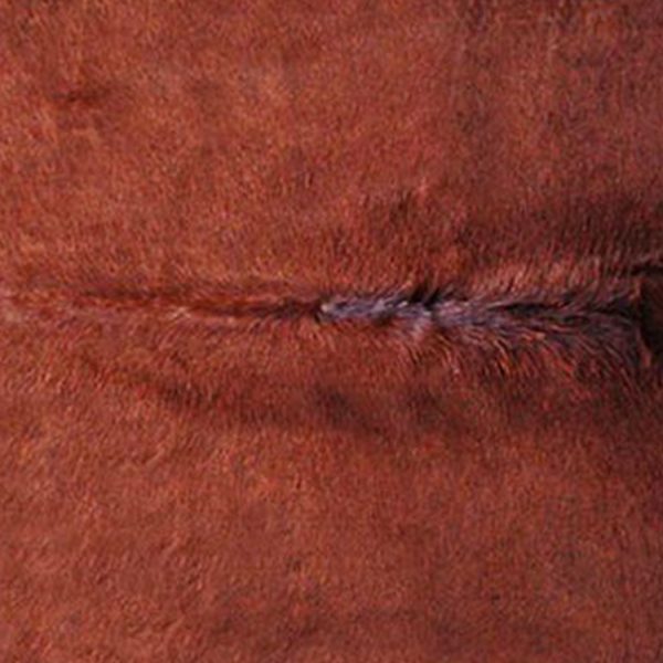60" x 84" Brown Cowhide - Area Rug - Image 3