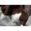 60" x 84" Chocolate And White Cowhide - Area Rug - Image 4