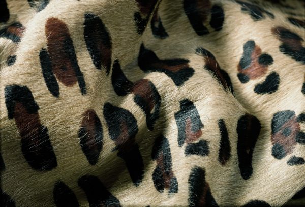 60" x 84" Leopard Cowhide - Area Rug - Image 2