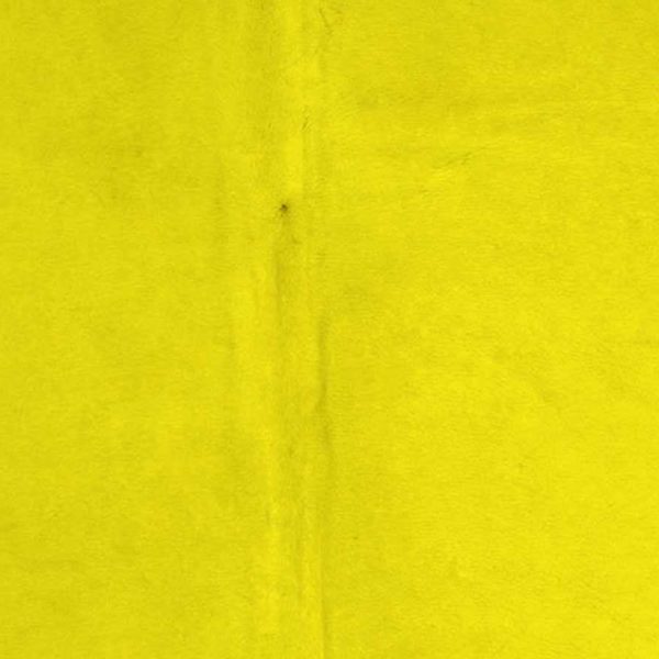 60" x 84" Yellow Cowhide - Area Rug - Image 4
