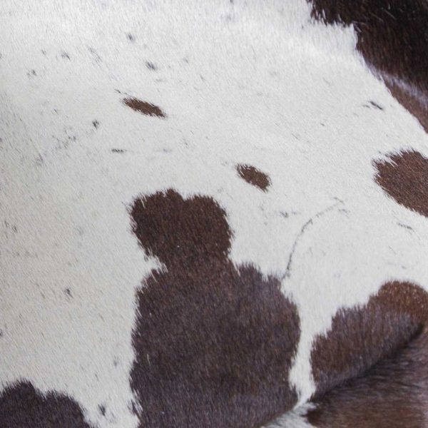 72" x 84" White and Chocolate Cowhide  Rug - Image 3