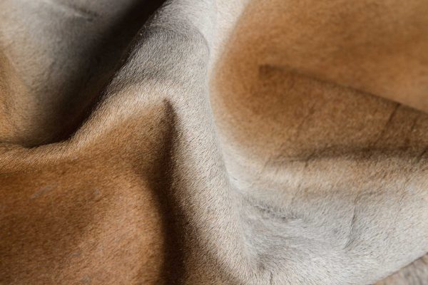 72" x 84" Tan Cowhide  Rug - Image 2