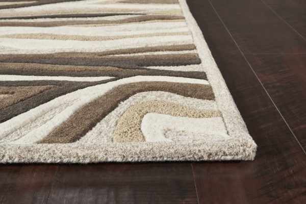 3'x5' Natural Beige Hand Tufted Abstract Waves Indoor Area Rug - Image 2