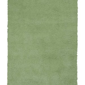 5'x7' Spearmint Green Indoor Shag Rug