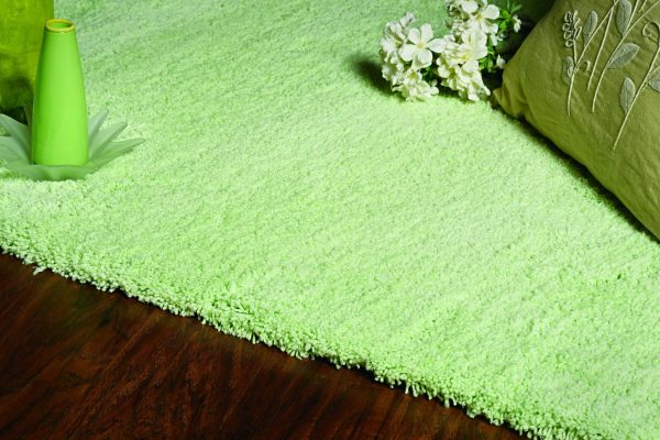 5'x7' Spearmint Green Indoor Shag Rug - Image 2