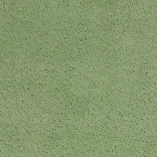 5'x7' Spearmint Green Indoor Shag Rug - Image 3