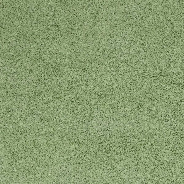5'x7' Spearmint Green Indoor Shag Rug - Image 4