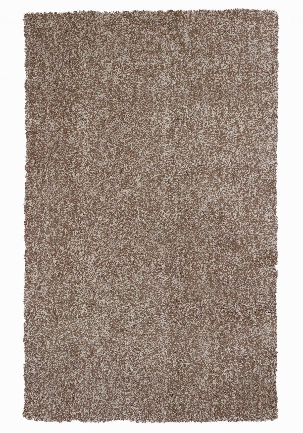 5'x7' Beige Heather Indoor Shag Rug