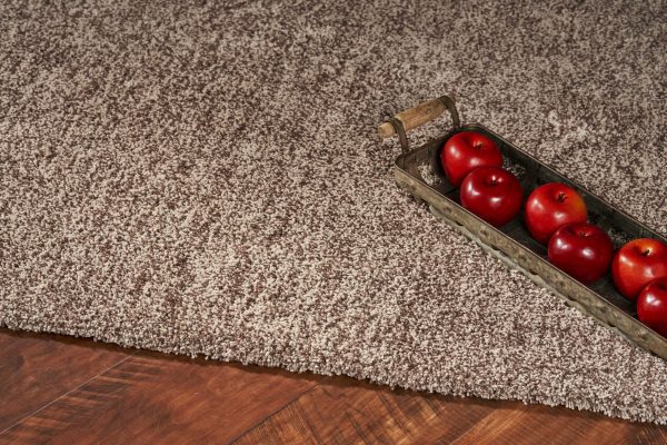 5'x7' Beige Heather Indoor Shag Rug - Image 4