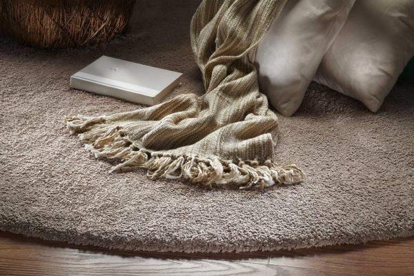 5'x7' Beige Indoor Shag Rug - Image 4