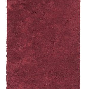 5'x7' Red Indoor Shag Rug