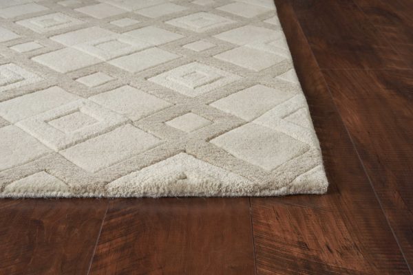 5' x 8'  Wool Ivory  Area Rug - Image 3