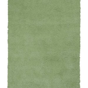 2'x4' Spearmint Green Indoor Shag Rug