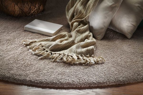 2'x4' Beige Indoor Shag Rug - Image 4