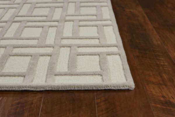 3'3 x 5'3 Wool Tan Ivory Area Rug - Image 4