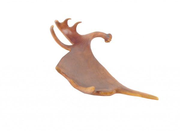 12" x 23.5" x 6.5" Deer Antler Tray - Image 3