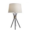 Black Metal Tripod Leg with Antique Brass Accent Table Lamp - Image 3