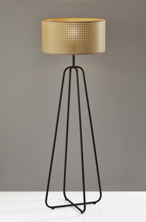Open Cane Web Natural Shade Floor Lamp with Dark Bronze Base - Image 2