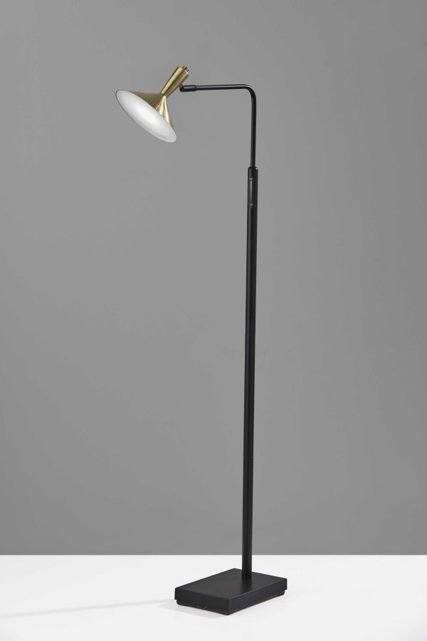 Adjustable Brass Spotlight LED Floor Lamp in Black Metal