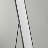 13.125" X 14.75" X 64.12"   Floor Mirror