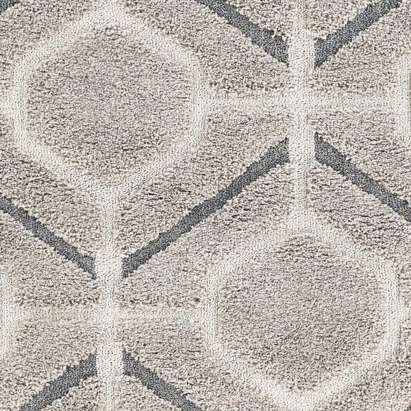 39 X 63  Grey Polypropylene Rug - Image 3