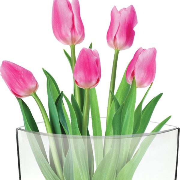11 Mouth Blown Crystal European Made Pocket Shaped Vase - Image 4