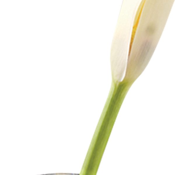8 Mouth Blown Crystal Bud Vase - Image 4