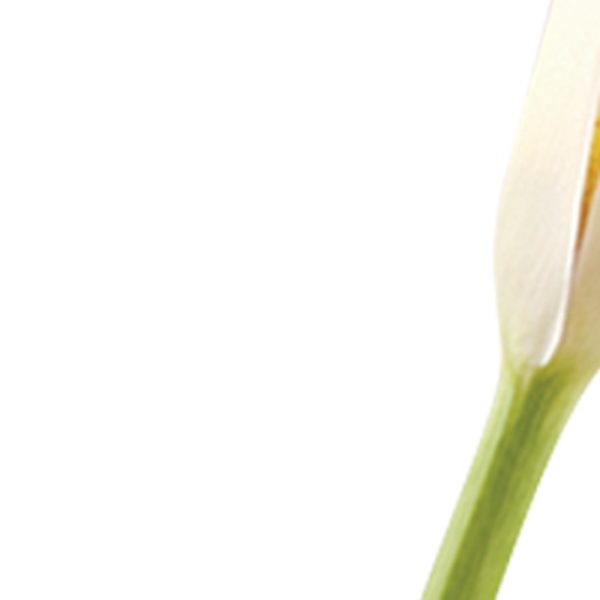8 Mouth Blown Crystal Bud Vase - Image 5