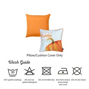Set of 2 18"  Fall Season Pumpkin Pie Throw Pillow Cover in Multicolor
