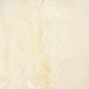2' x 3' Ivory New Zealand Natural Sheepskin Rug