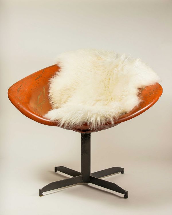 2' x 3' Ivory New Zealand Natural Sheepskin Rug - Image 5