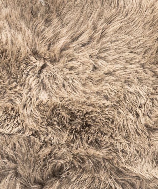 2' x 3' Latte New Zealand Natural Sheepskin Rug - Image 2