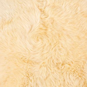 2' x 3' Cream New Zealand Natural Sheepskin Rug