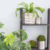 4 Step Blackwash Rustic Wood Ladder Shelf - Image 5