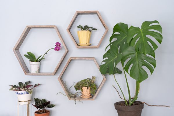 Set of 3 Hexagon Rustic Natural Weathered Grey Wood Open Box Shelve - Image 2