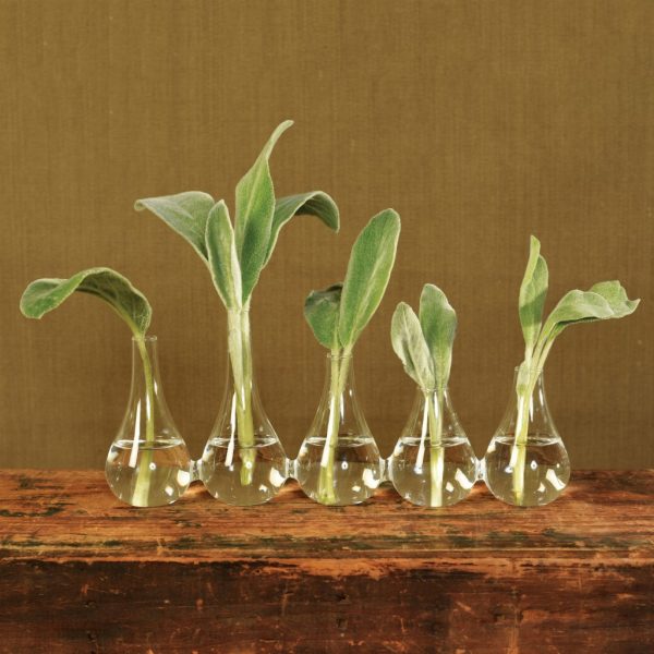 Quintuplet Set of Five Joined Glass Vases - Image 4